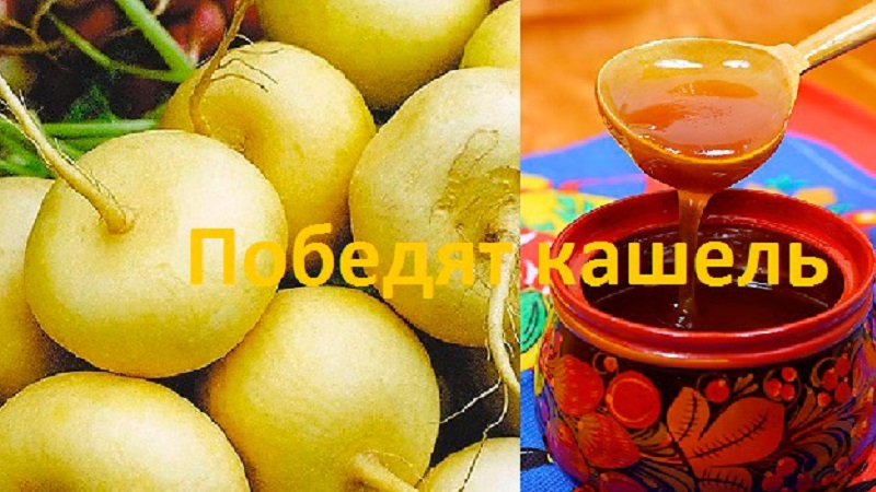 Does turnip with honey help cough and how to properly use such a medicine
