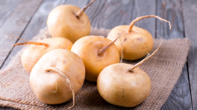 What is turnip, what it looks like in the photo, how to cook it and eat it
