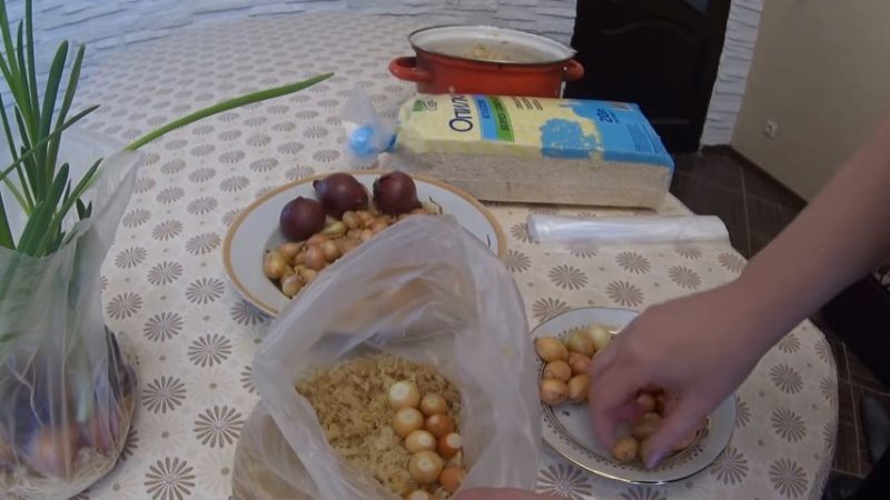 The technology of planting and growing onions in a package without land is a super way!