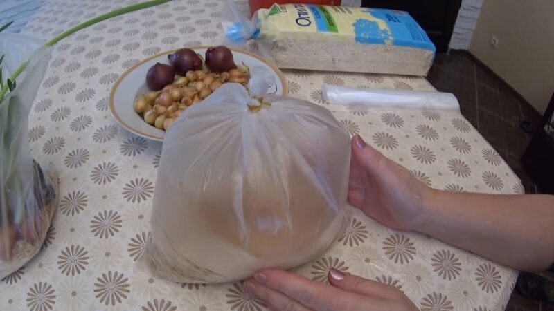 The technology of planting and growing onions in a package without land is a super way!