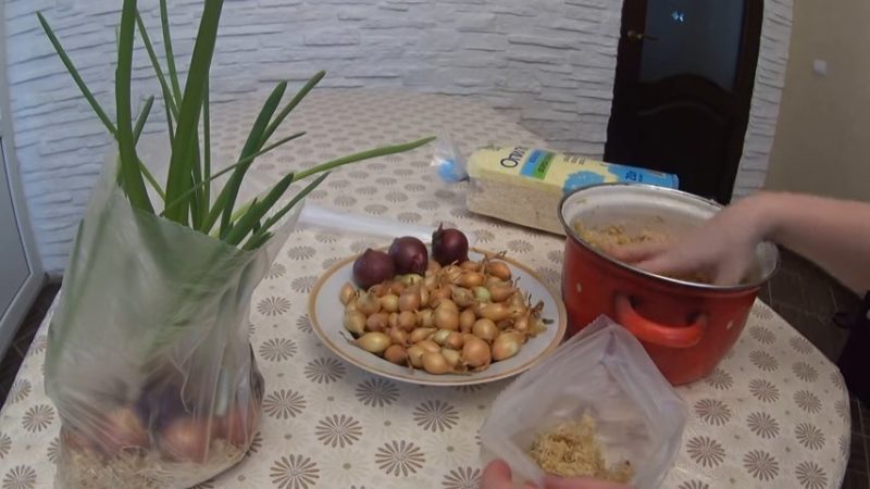 The technology of planting and growing onions in a package without land is a super way!