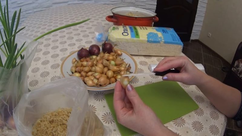 The technology of planting and growing onions in a package without land is a super way!