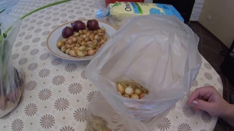 The technology of planting and growing onions in a package without land is a super way!
