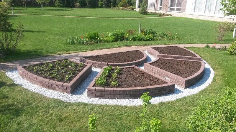 Step-by-step instructions for growing carrots from scratch