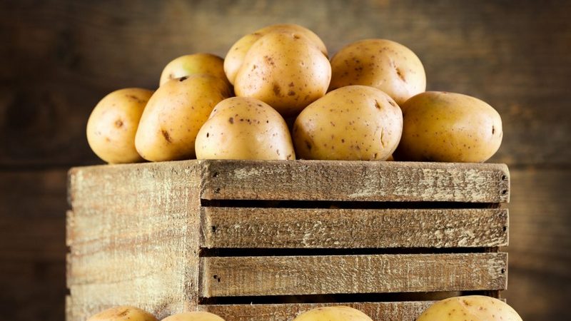 Potato storage rules: can it be washed before laying