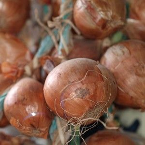 How to cure 100 diseases: the use of onion peels in traditional medicine