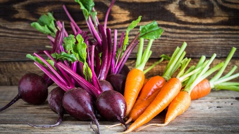 Simple and delicious pickled carrot recipes