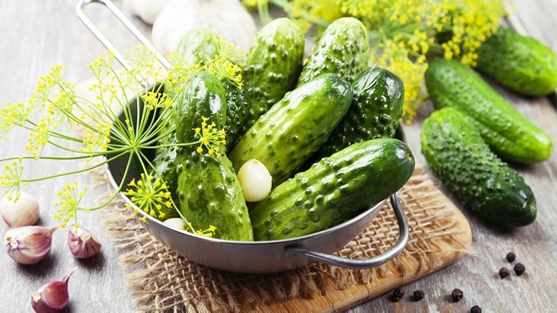 Crispy cucumber recipes without sterilization for the winter