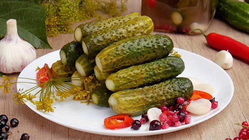 Crispy cucumber recipes without sterilization for the winter