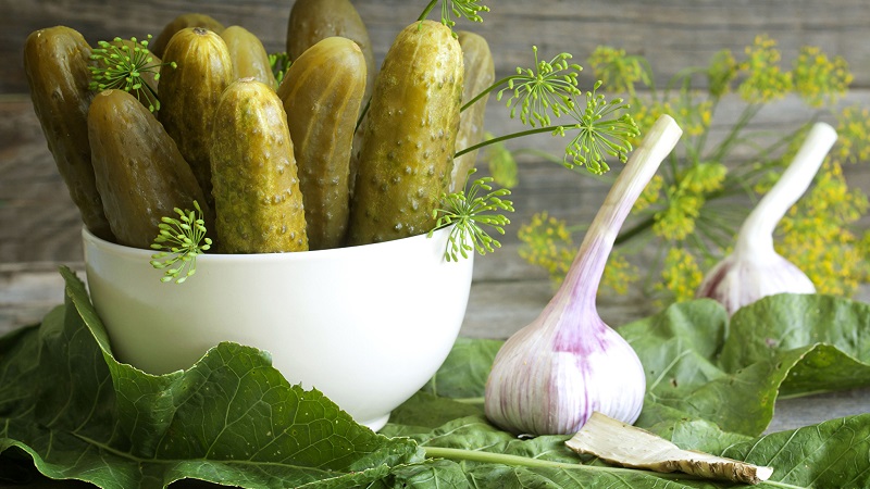 Crispy cucumber recipes without sterilization for the winter