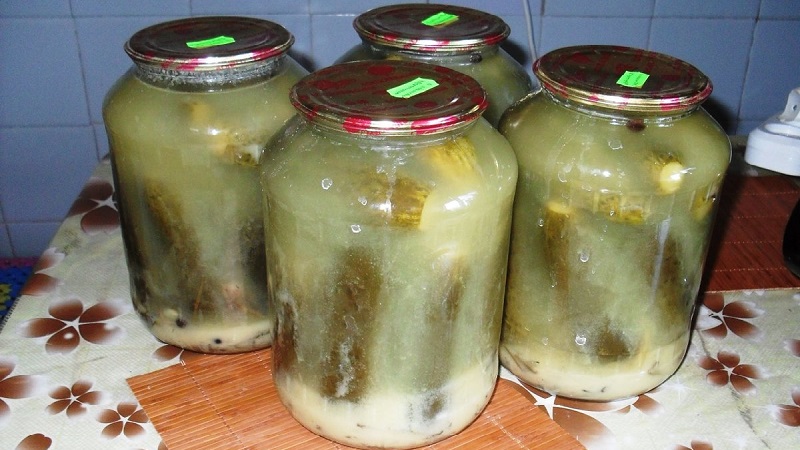 The most delicious recipe for the winter: pickled cucumbers with mustard in a jar