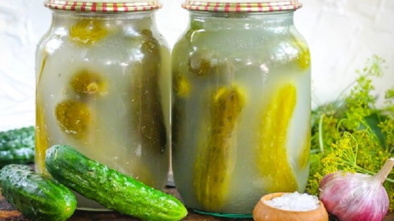 The most delicious recipe for the winter: pickled cucumbers with mustard in a jar