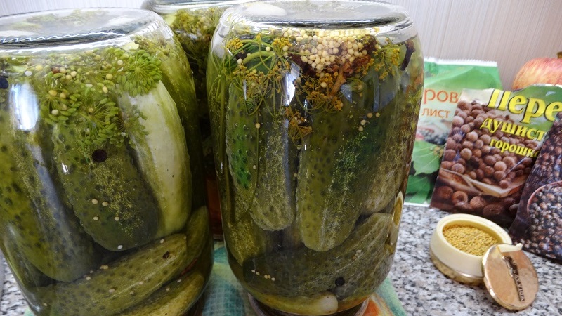 The most delicious recipe for the winter: pickled cucumbers with mustard in a jar