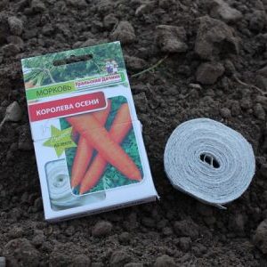 How to properly plant carrot seeds on a ribbon and how to make them at home