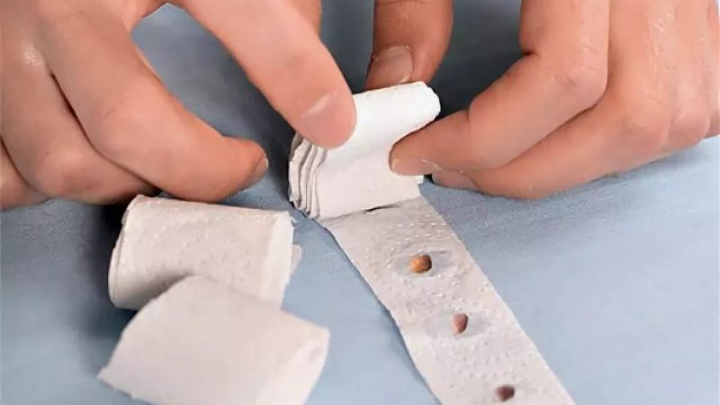 How to properly plant carrot seeds on a ribbon and how to make them at home