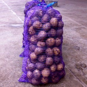 Why is a mesh bag for potatoes good and how to use it correctly