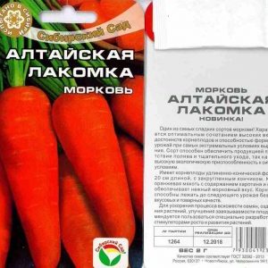A sweet, delicate variety of carrots Altai gourmet