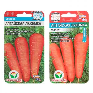 A sweet, delicate variety of carrots Altai gourmet