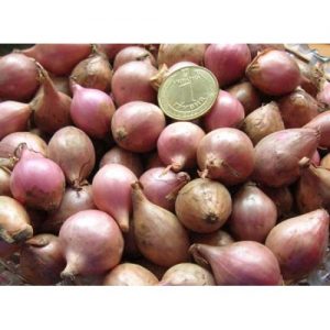 Delicious Rossana onion: description and tips for growing