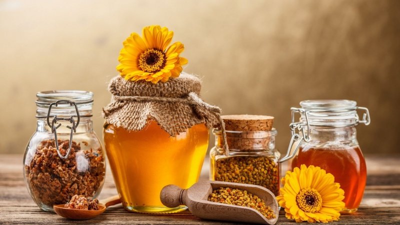 The healing properties of onions with honey: the best recipes for baby cough