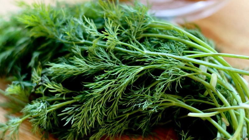 Dill for men's victories: benefits and harms to men's health