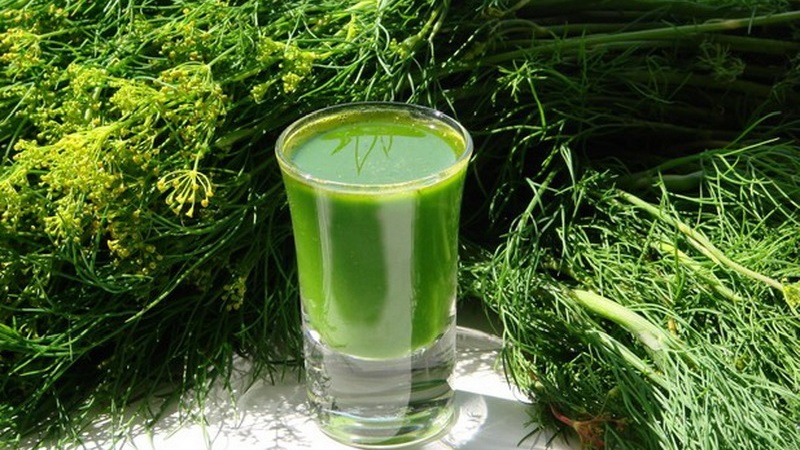 Dill for men's victories: benefits and harms to men's health