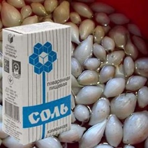 What to soak onions before planting before winter, and whether it is necessary to do it