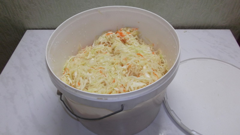 Step-by-step recipes for the winter: how to properly ferment cabbage in a bucket