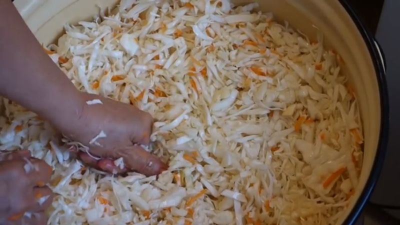 Step-by-step recipes for the winter: how to properly ferment cabbage in a bucket