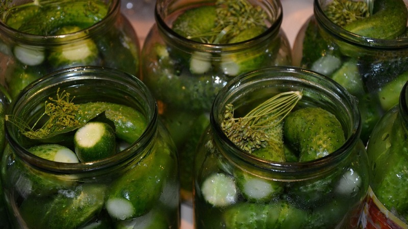 Salting cucumbers for the winter in jars so that they don't explode: recipes, rules for preparing vegetables and storing blanks