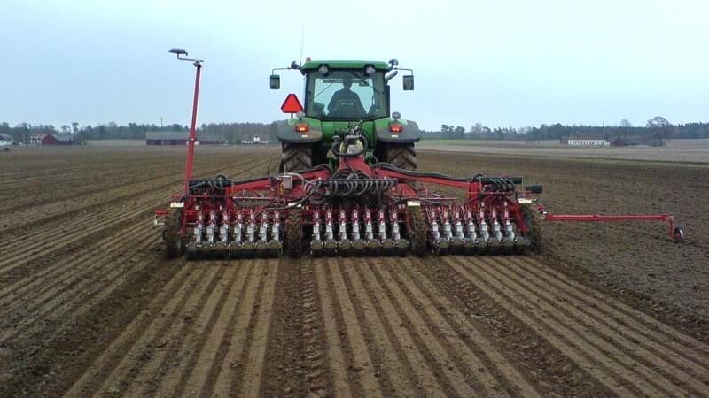 Stages of sowing winter wheat and further planting care