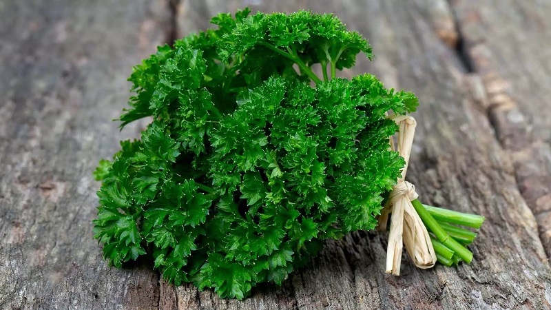 What is the name of curly parsley