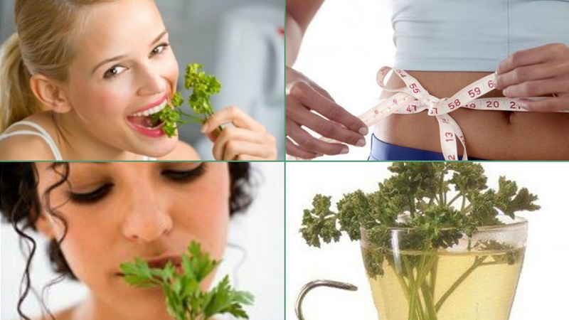 How to take parsley for weight loss: the best fat burning recipes