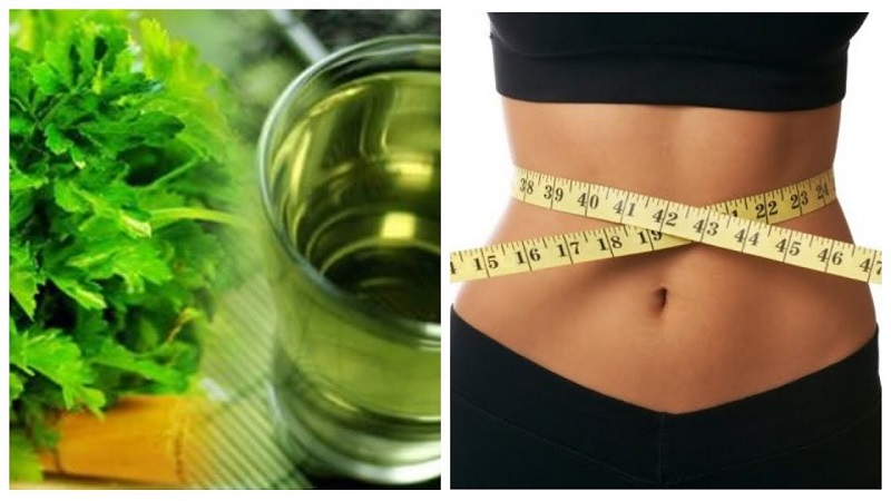 How to take parsley for weight loss: the best fat burning recipes