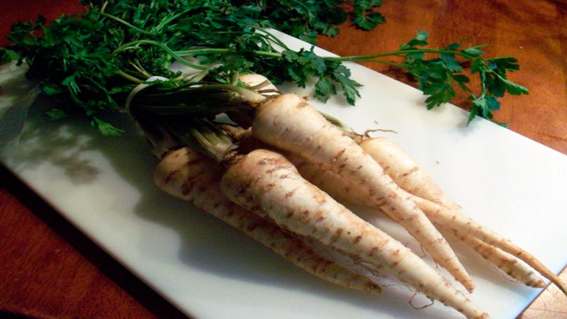 Review of the best varieties of parsley and their varieties