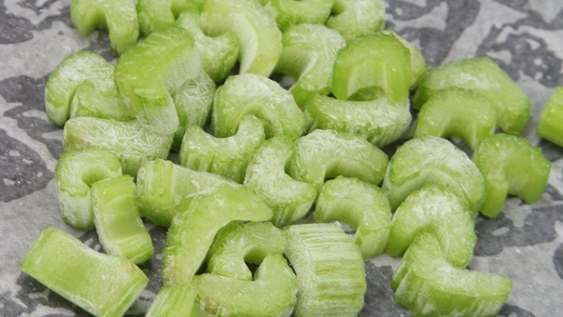 The best recipes for stalked celery blanks for the winter