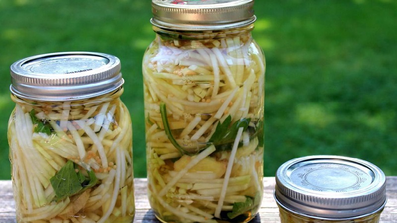 The best recipes for stalked celery blanks for the winter