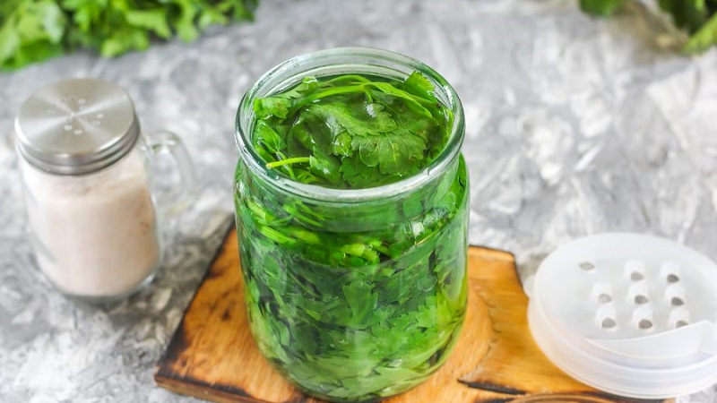 The best recipes for stalked celery blanks for the winter