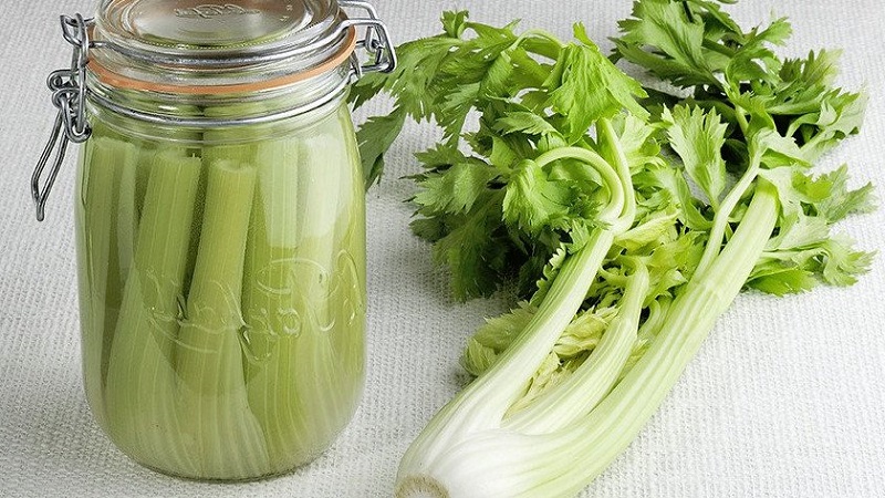 The best recipes for stalked celery blanks for the winter