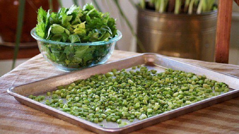 The best recipes for stalked celery blanks for the winter