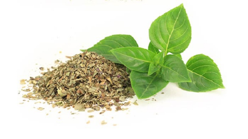 How to properly prepare basil for the winter at home in different ways
