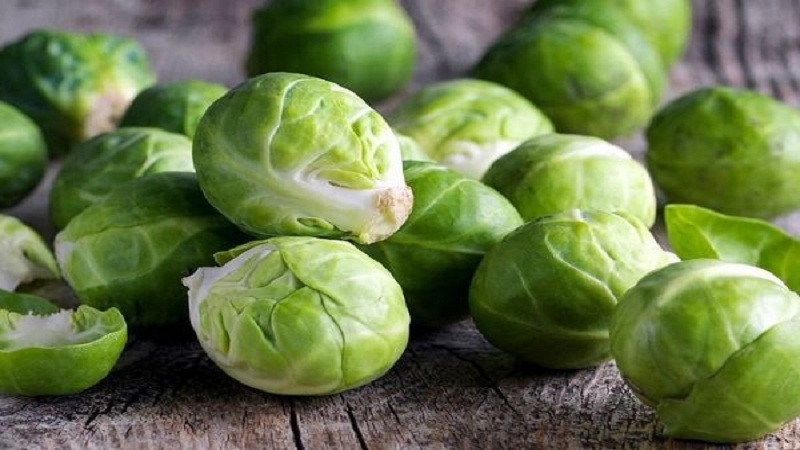 The most delicious pickled Brussels sprouts recipes for the winter