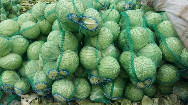 Where and how to store fresh cabbage at home in an apartment