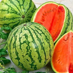 Why Astrakhan watermelon is good and why farmers love it so much