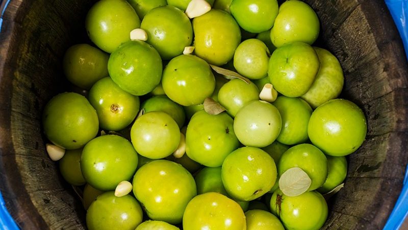 How to Make Barrel Green Tomatoes at Home: Best Recipes and Cooking Tips