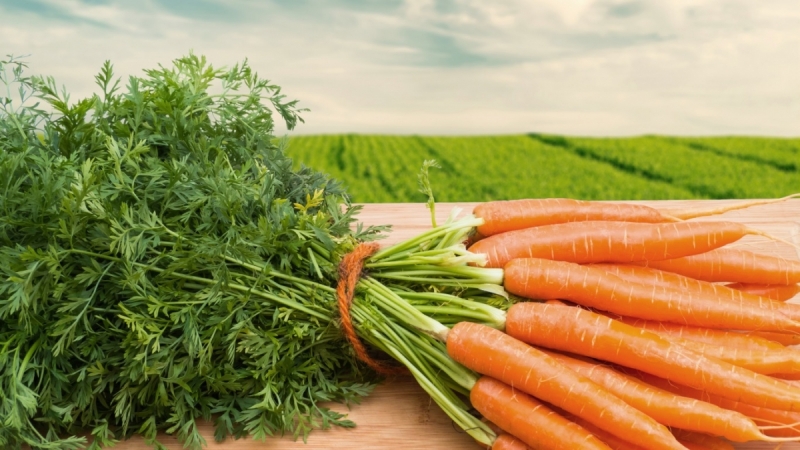 How can you replace potatoes during a diet