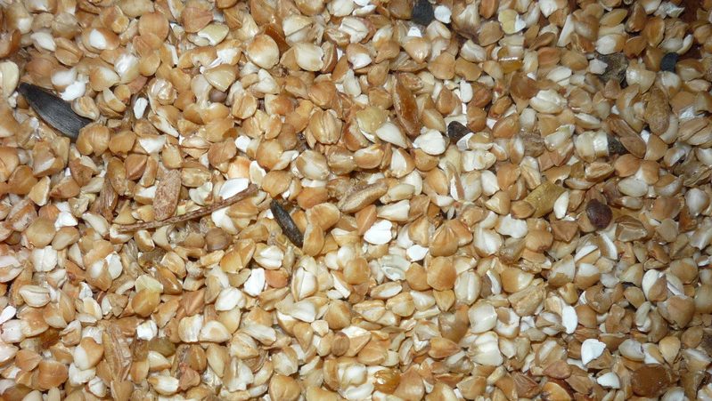 What is buckwheat done, what is good and for which dishes it is suitable