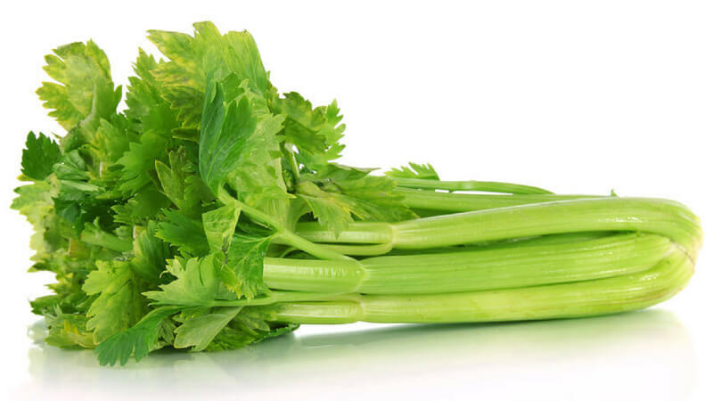 What is celery: overview, rules of use and cultivation technology