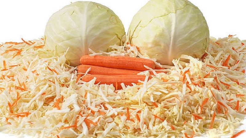Making preparations for the phases of the moon: when is it better to salt cabbage for the winter according to the lunar calendar