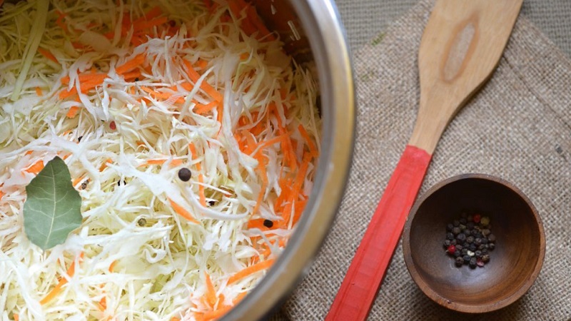 Making preparations for the phases of the moon: when is it better to salt cabbage for the winter according to the lunar calendar